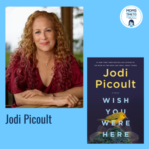 Jodi Picoult, WISH YOU WERE HERE