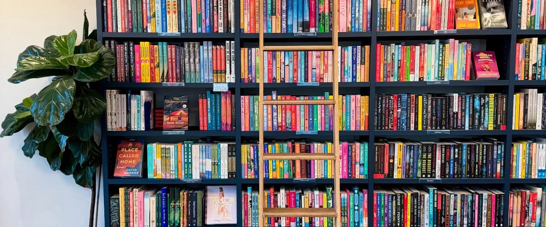 680903f1faf93c84c27144df_zibbys-bookshop-indie-bookstore (1).webp__PID:31a2c6a5-0aa5-46fc-87cc-6bd6df11425d