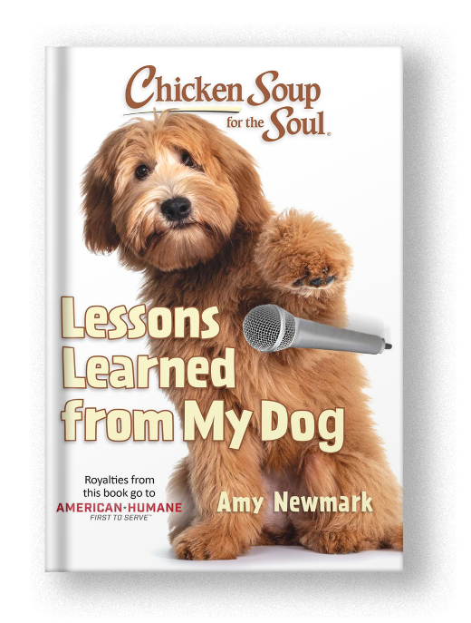 Chicken Soup for the Soul: Lessons Learned from My Dog