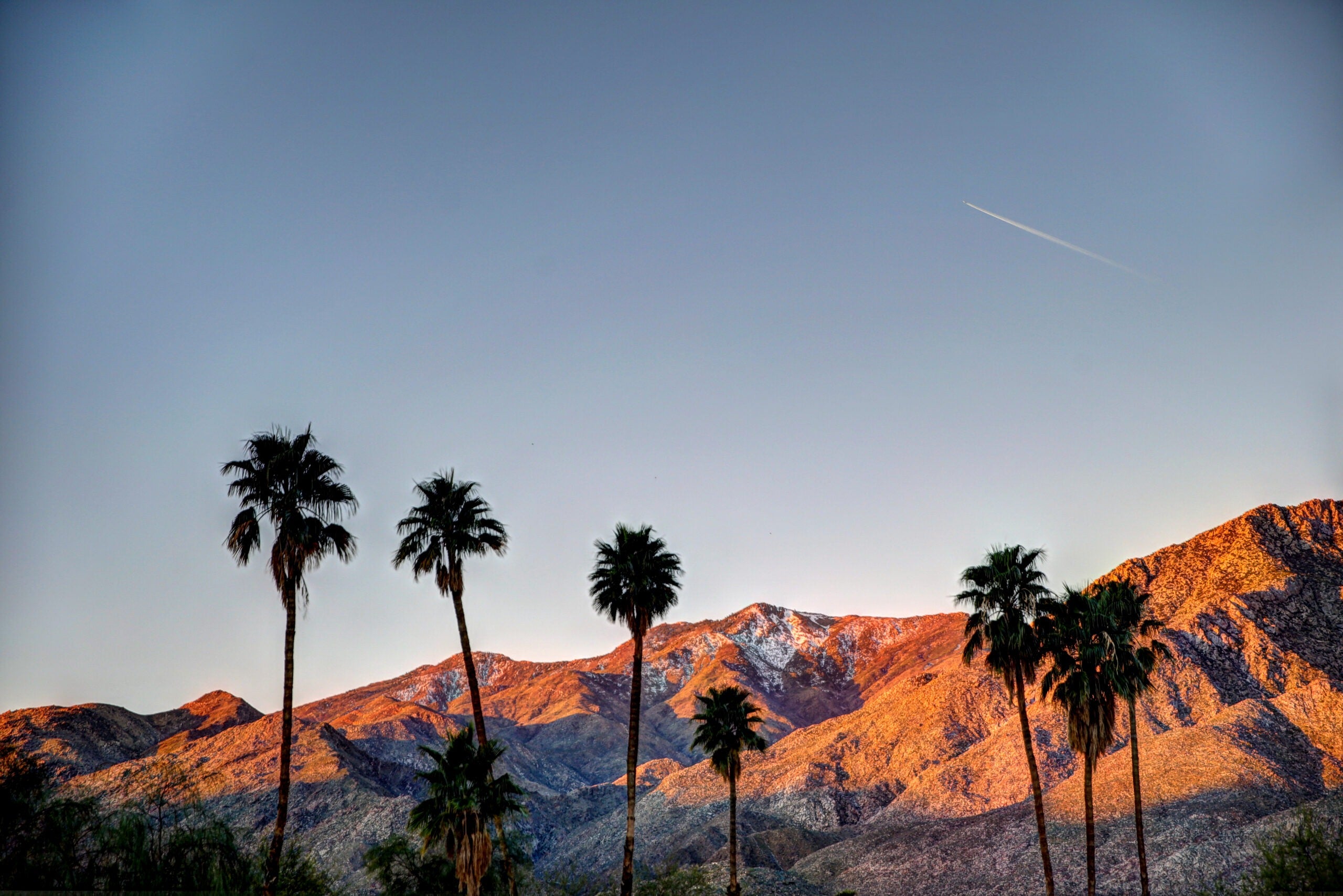 Zibby's Palm Springs Retreat: September 20th - 22nd, 2024